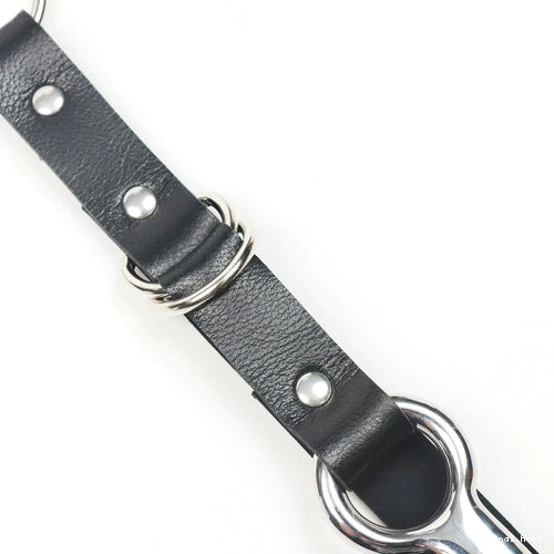 Hook 5853 and Leash Kinky Collar EverydayUse with Anal 0919